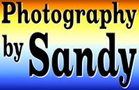 Photography by Sandy Logo